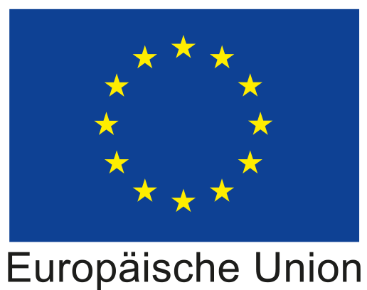 EU Logo